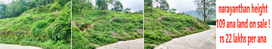 narayanthan height 109 ana land